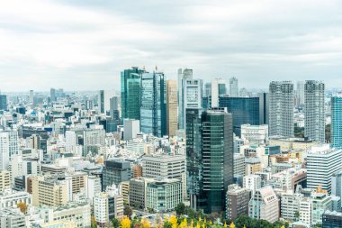 Tokyo şehir mimarisinin gün ışığında görünümü, Japonya