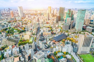Tokyo şehir mimarisinin gün ışığında görünümü, Japonya
