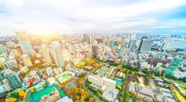 Tokyo şehir mimarisinin gün ışığında görünümü, Japonya