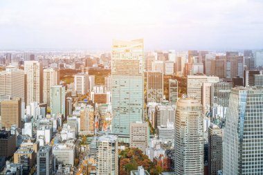 Tokyo şehir mimarisinin gün ışığında görünümü, Japonya