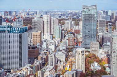 Tokyo şehir mimarisinin gün ışığında görünümü, Japonya