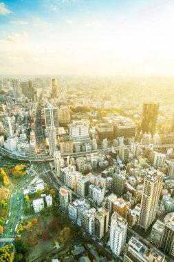 Tokyo şehir mimarisinin gün ışığında görünümü, Japonya