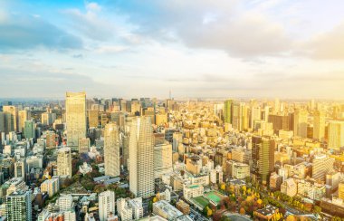 Tokyo şehir mimarisinin gün ışığında görünümü, Japonya