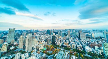 Tokyo şehir mimarisinin gün ışığında görünümü, Japonya