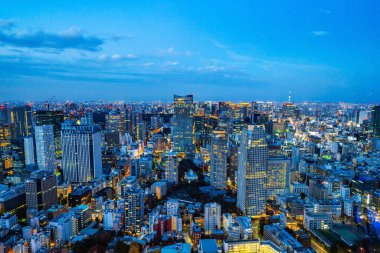 Tokyo, Japonya'da alacakaranlık gökyüzü ile şehir silueti görünümü