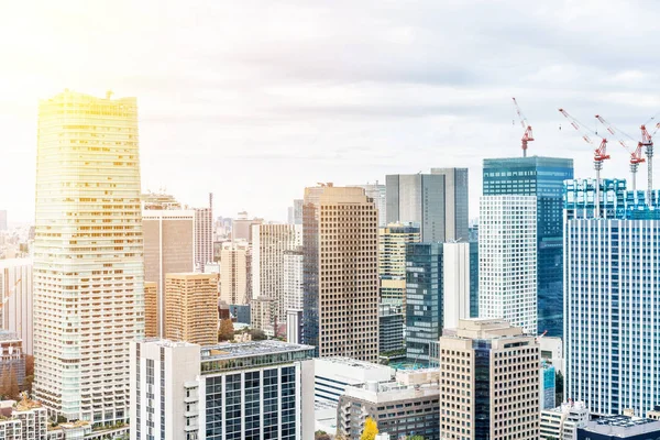 Uitzicht Tokyo City Architecture Bij Daylight Japan — Stockfoto