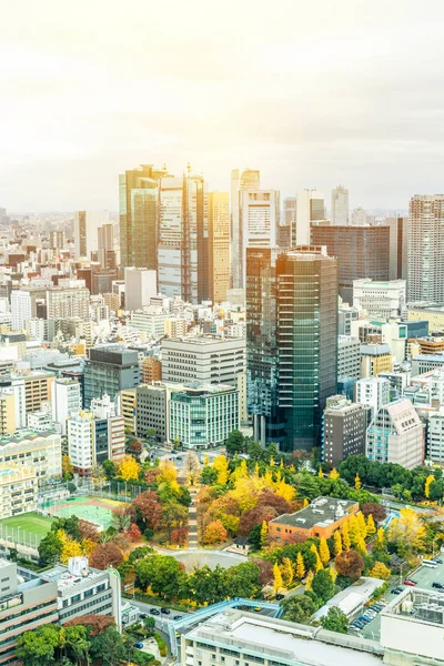 Tokyo Şehir Mimarisinin Gün Işığında Görünümü Japonya — Stok fotoğraf