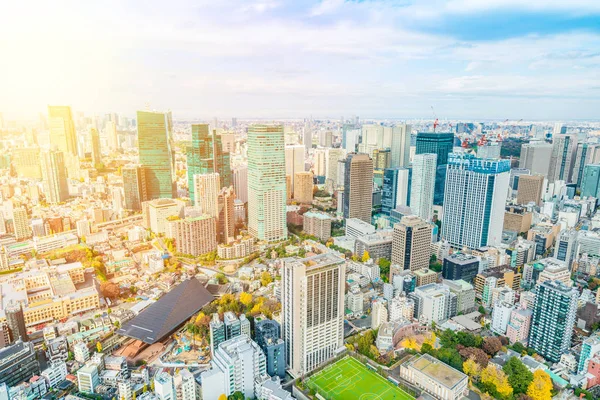 Vista Arquitetura Cidade Tóquio Luz Dia Japão — Fotografia de Stock