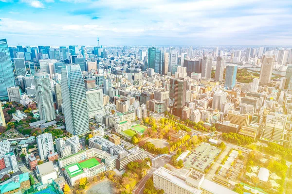 Vista Arquitetura Cidade Tóquio Luz Dia Japão — Fotografia de Stock