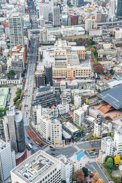 View of Tokyo city architecture at daylight, Japan