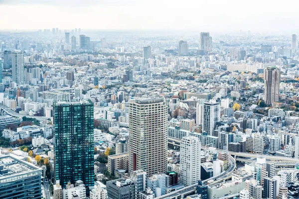 Tokyo Şehir Mimarisinin Gün Işığında Görünümü Japonya — Stok fotoğraf