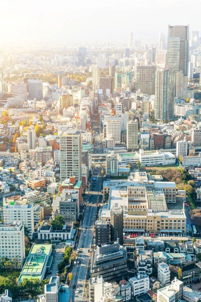 Θέα Στην Αρχιτεκτονική Της Πόλης Του Τόκιο Πρωί Ιαπωνία — Φωτογραφία Αρχείου