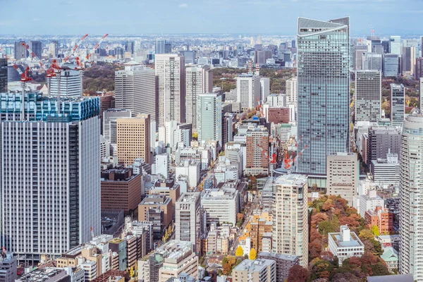 Vista Arquitectura Ciudad Tokio Durante Día Japón — Foto de Stock