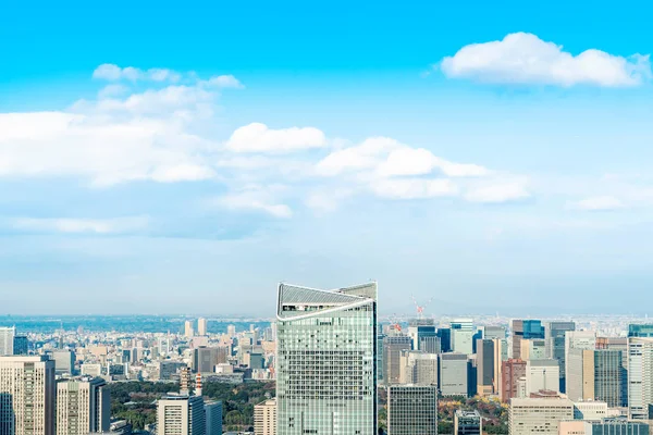 Uitzicht Tokyo City Architecture Bij Daylight Japan — Stockfoto