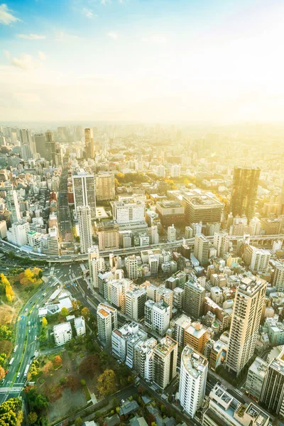 Uitzicht Tokyo City Architecture Bij Daylight Japan — Stockfoto