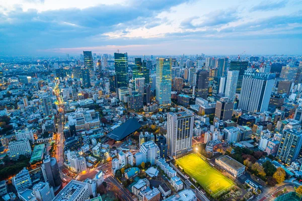 Tokyo, Japonya'da alacakaranlık gökyüzü ile şehir silueti görünümü