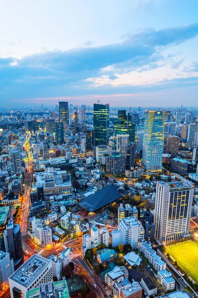 Tokyo Japonya Alacakaranlık Gökyüzü Ile Şehir Silueti Görünümü — Stok fotoğraf