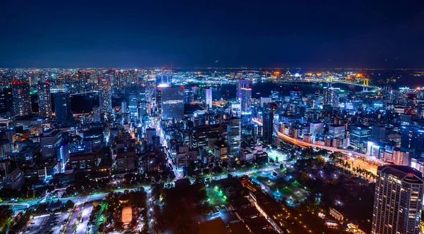 Vue Panoramique Des Bâtiments Ville Nuit Tokyo Japon — Photo