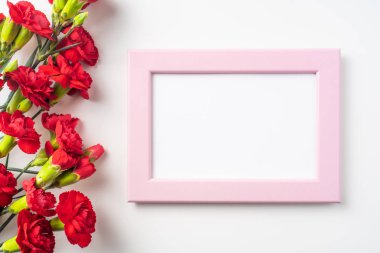 Beyaz arka plan üzerinde izole kırmızı karanfil ve fotoğraf çerçevesi demet üst görünümü