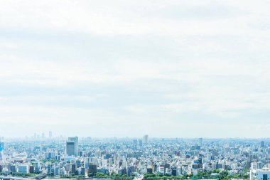 Tokyo, Japonya'da sabah güneşinde panoramik şehir silüeti havadan görünümü.