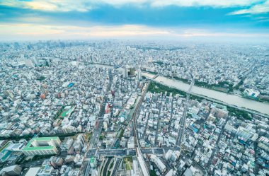 Tokyo, Japonya'da sabah güneşinde panoramik şehir silüeti havadan görünümü.