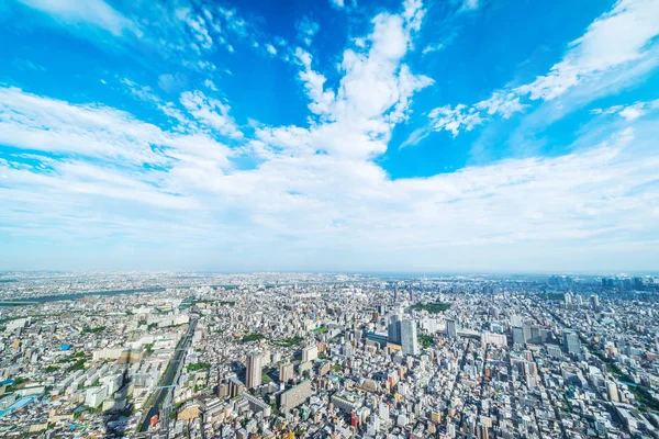 Panoramische Stedelijke Stad Skyline Luchtfoto Ochtendzon Tokio Japan — Stockfoto