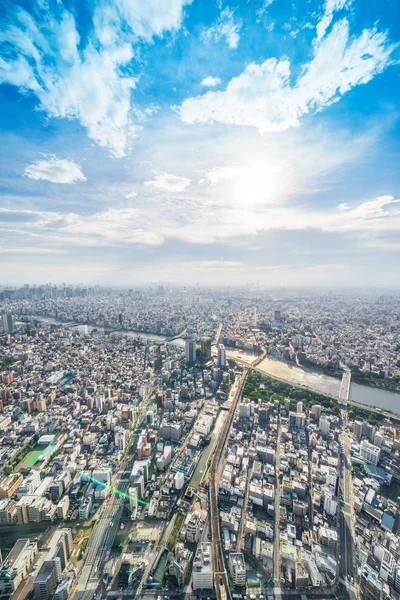 Tokyo Japonya Sabah Güneşinde Panoramik Şehir Silüeti Havadan Görünümü — Stok fotoğraf