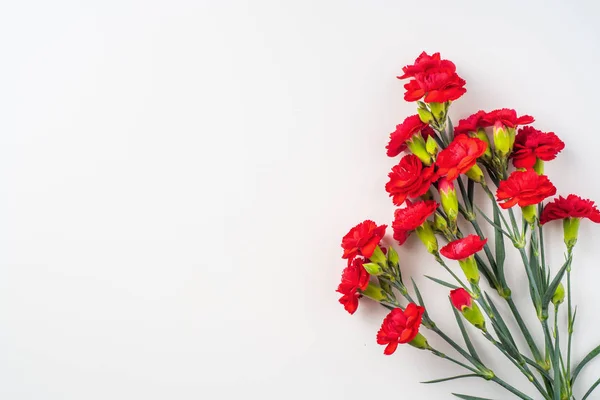 Buquê Cravos Vermelhos Isolados Fundo Branco Com Espaço Cópia — Fotografia de Stock