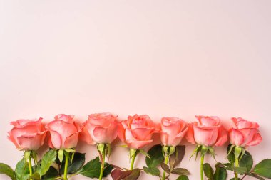 Pembe arka plan üzerinde pembe gül kenarlığı