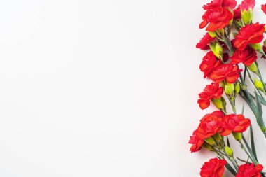 Beyaz arka planda izole edilmiş kırmızı karanfillerden yapılmış kenarlık, sahte kopya alanı ile