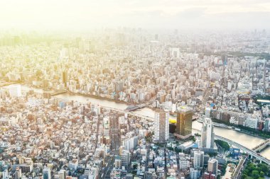 Tokyo, Japonya'da sabah güneşinde panoramik şehir silüeti havadan görünümü.