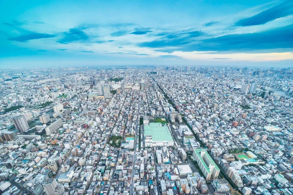日本东京晨光全景城市天际线鸟瞰图 — 图库照片