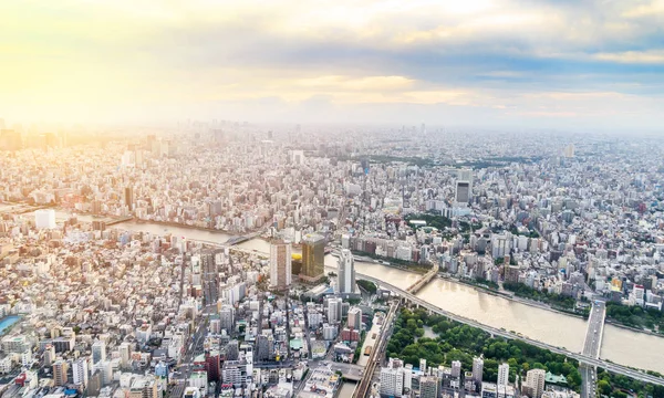 Panoráma Városi Város Skyline Légi Nézet Arany Reggeli Napsütés Tokióban — Stock Fotó