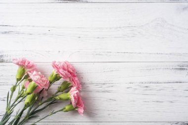 Beyaz Vintage ahşap arka planda pembe karanfil çiçekler