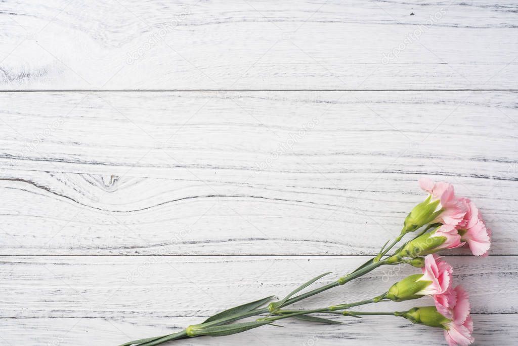 Pink carnations flowers on white vintage wooden background