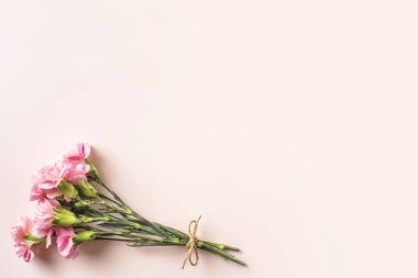 Pembe arka planda karanfil çiçekler üst görünüm demet