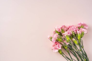 Pembe arka planda karanfil çiçekler üst görünüm demet