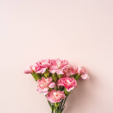 Pembe arka planda karanfil çiçekler üst görünüm demet