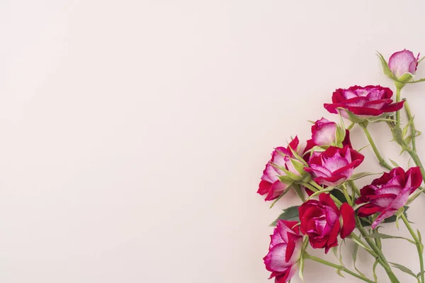 Ramo Rosas Rojas Sobre Fondo Rosa Con Espacio Para Copiar — Foto de Stock