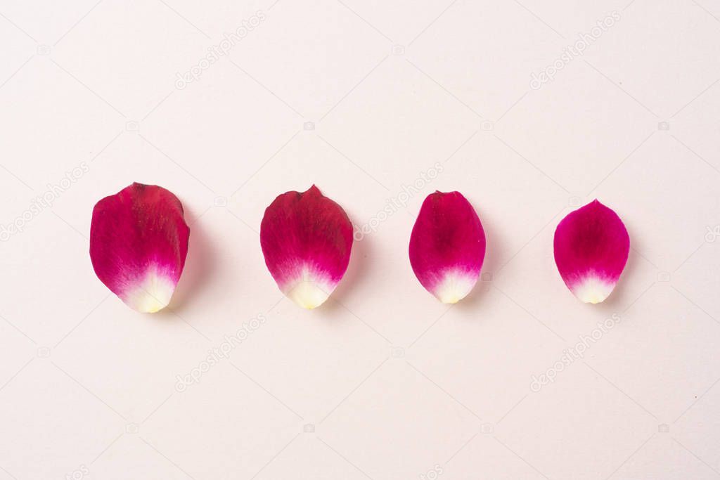 Top view of red rose petals pattern on pink background with copy space