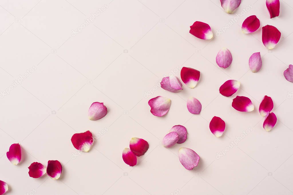Top view of red rose petals pattern on pink background with copy space