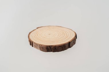 Beyaz arka plan üzerinde izole yıllık halkalar ile dairesel ahşap parça