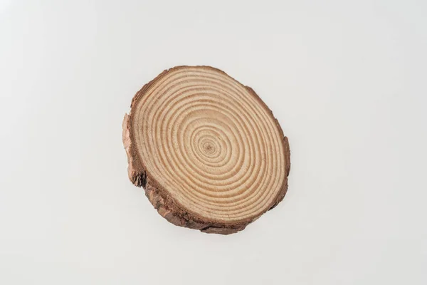 Circular wood piece with annual rings isolated on white background
