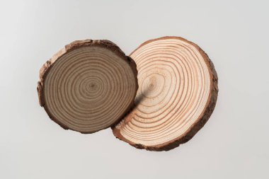 Tasarım konsepti - yıllık halkaları havada yüzen dairesel ahşap parçaların üst görünümü beyaz arka planda mozaik için izole edilmiş.