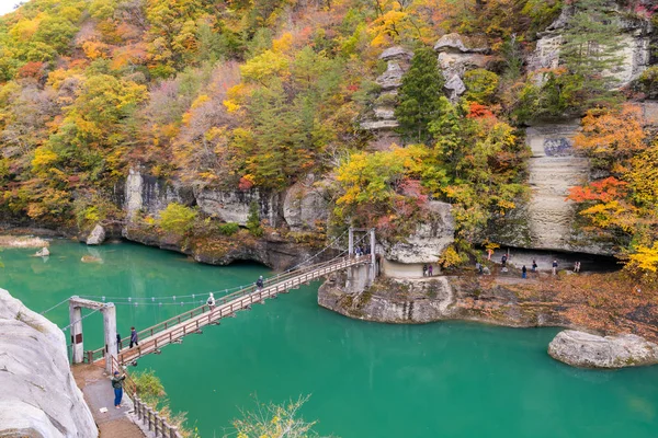 Para Nenhum Rio Hetsuri Cliff Desfiladeiro Fukushima Japão — Fotografia de Stock