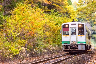 Sonbahar sonbahar yaprakları ile beyaz tren banliyö: Fukushima, Japan