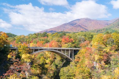 Miyagi Tohoku Japonya 'sında demiryolu tüneli olan Naruko Gorge Vadisi.