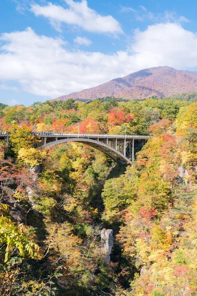 Tüneli Miyagi Tohoku Japonya Değil Gorge Vadisi — Stok fotoğraf