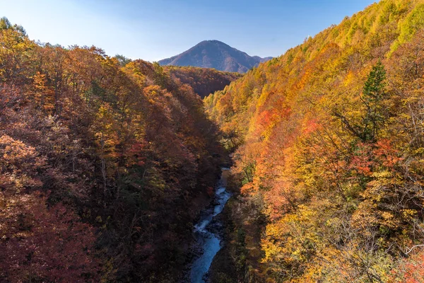 Nakatsugawa gorge Fukushima köprüde sonbahar sonbaharda Japonya üzerinden