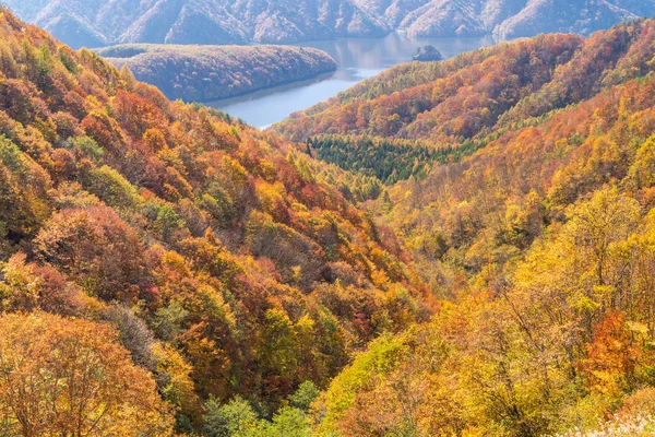 Nakatsugawa gorge from view point Azuma lake line at Urabandai Fukushima in autumn fall